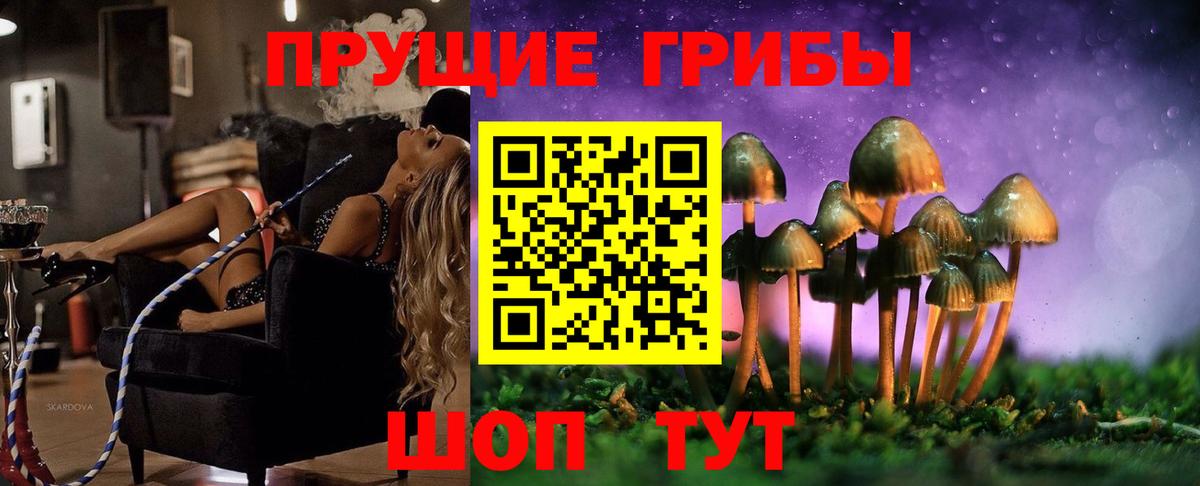 Псилоцибиновые грибы GOLDEN TEACHER  Галлюциногенные грибы мухоморы  Вход с VPN  Ейск 